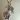 bc22e8160bac4651b4ebfa58ccda0c40-goods.jpeg
